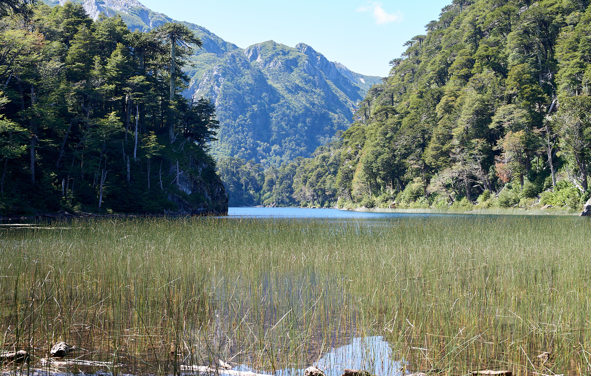 20200317 887 [칠레] 푸콘 우에르케우에 국립공원 트레킹